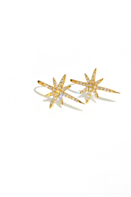 LA8- 14KY Starburst Diamond Earrings